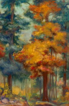 Autumn Trees - Marjorie Ortlip Stockin